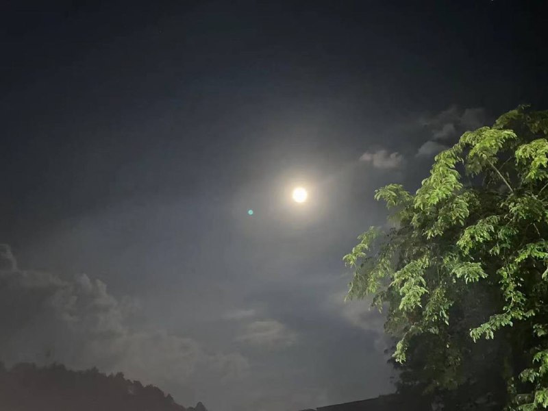 　　一轮月好，正人间、八月凉生襟袖